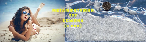 индика Бородино