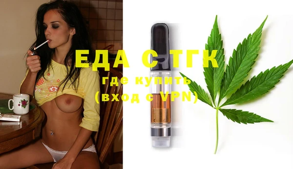 индика Бородино