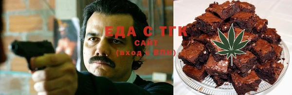 индика Бородино
