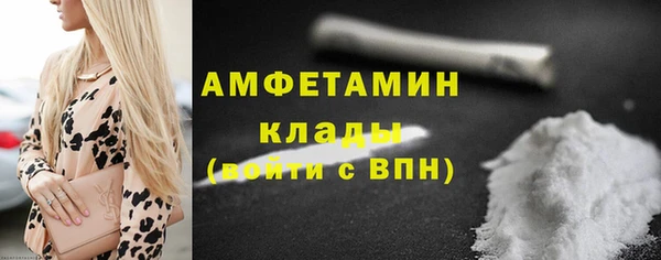 индика Бородино