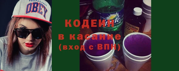 индика Бородино