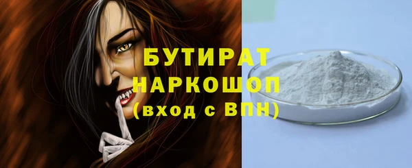 индика Бородино