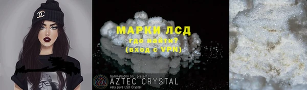 индика Бородино