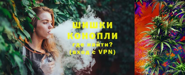 индика Бородино