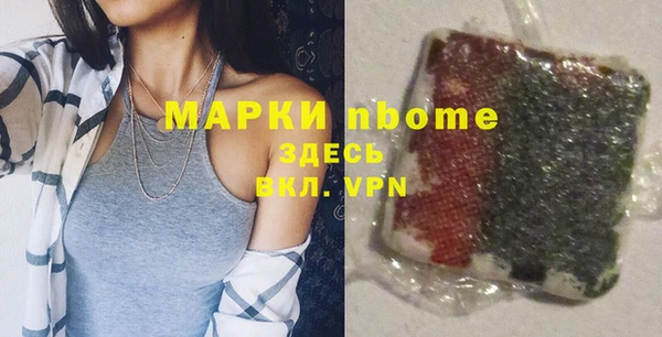 индика Бородино