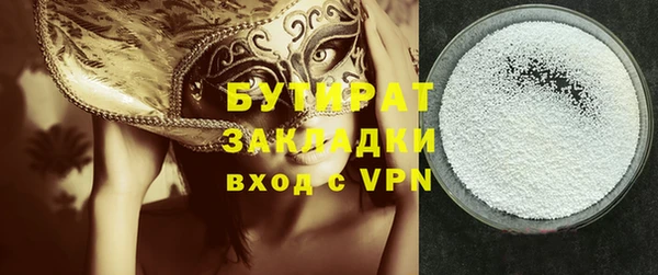 индика Бородино