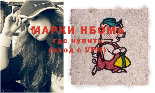 индика Бородино