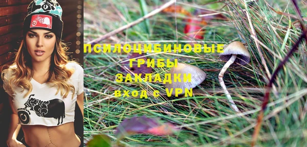 индика Бородино